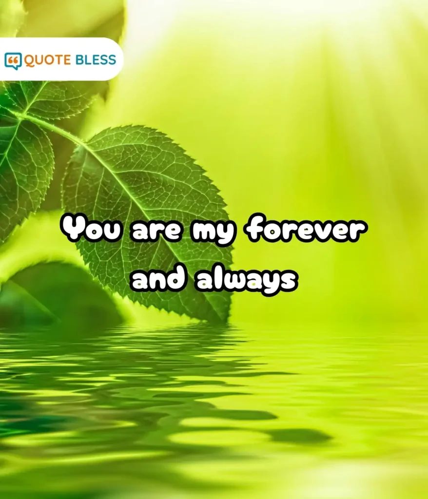 Simple Short Love Quotes for Him from the Heart