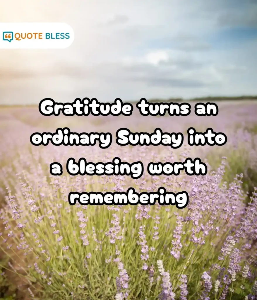 Inspiring Lines to Uplift the Spirit
