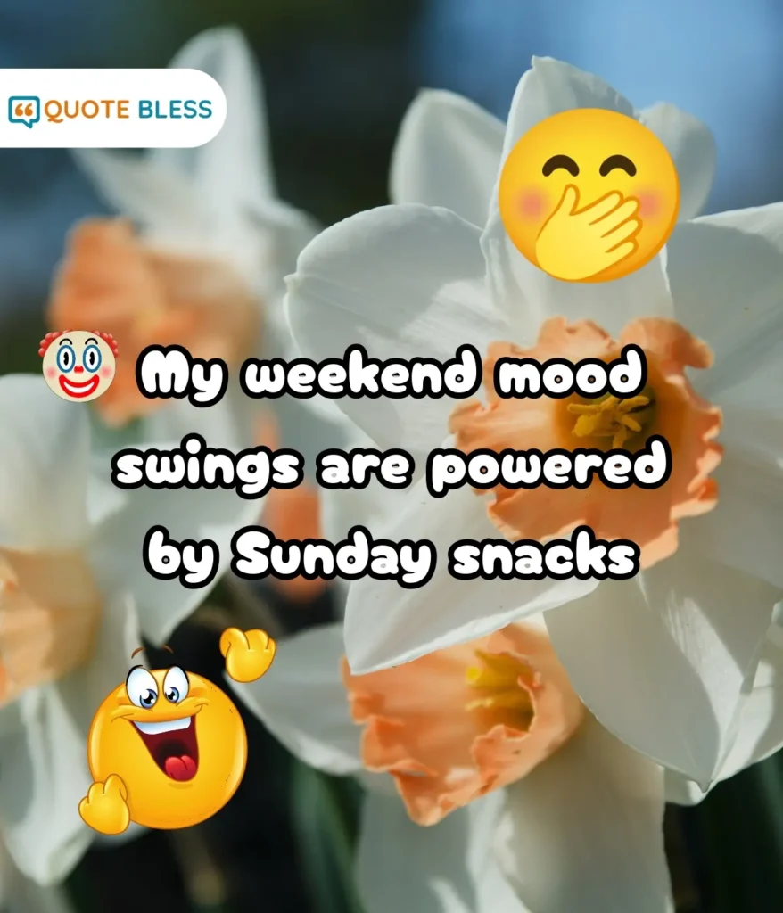 Playful Quotes About Weekend Vibes