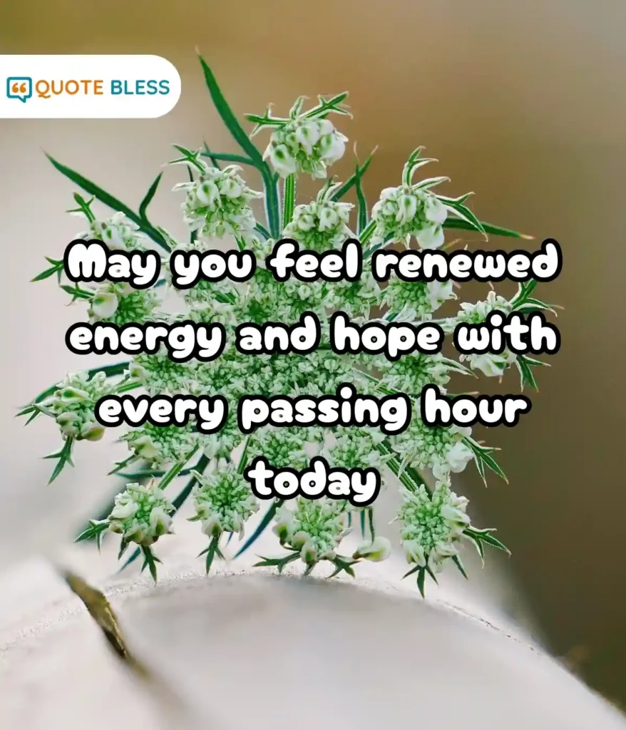 Monday Sunrise Quotes to Begin the Day with Energy