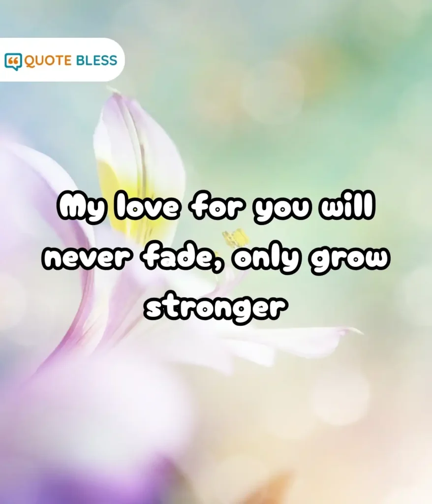 Anniversary Messages That Celebrate Your Love