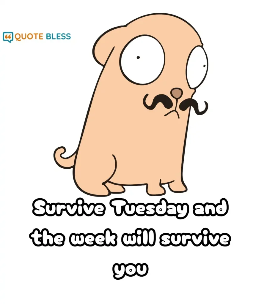Funny Sayings to Overcome Midweek Stress