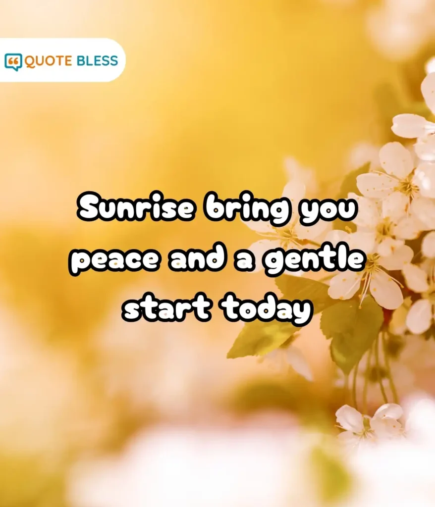 Sunrise and Nature Themes for Gentle Mood