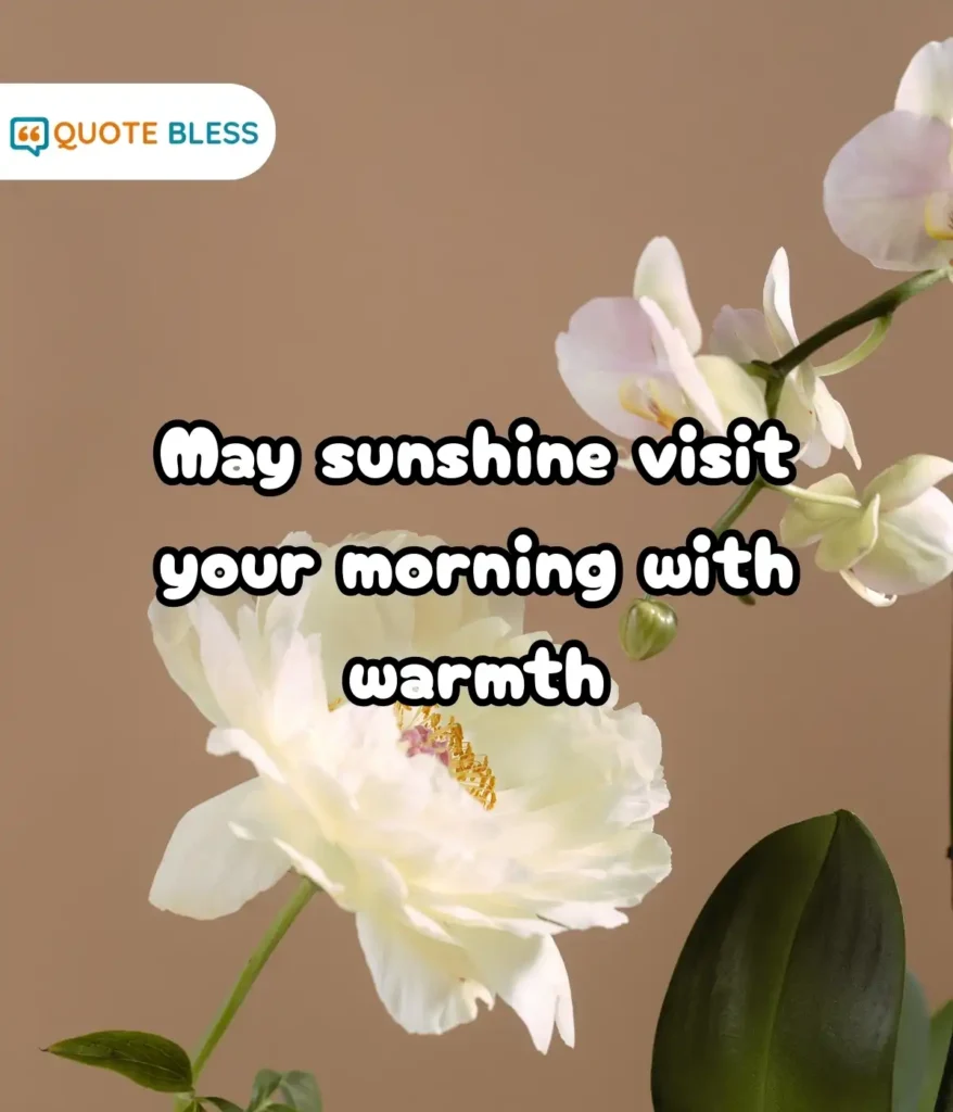 Fresh Energy for Spring Days