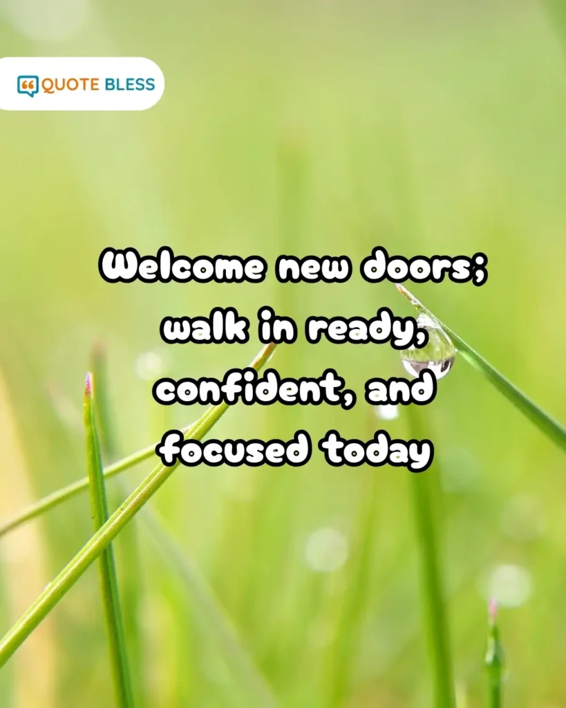Polite Lines for Managers and Leaders