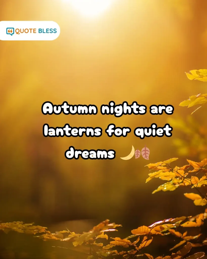 Autumn night dreams quote