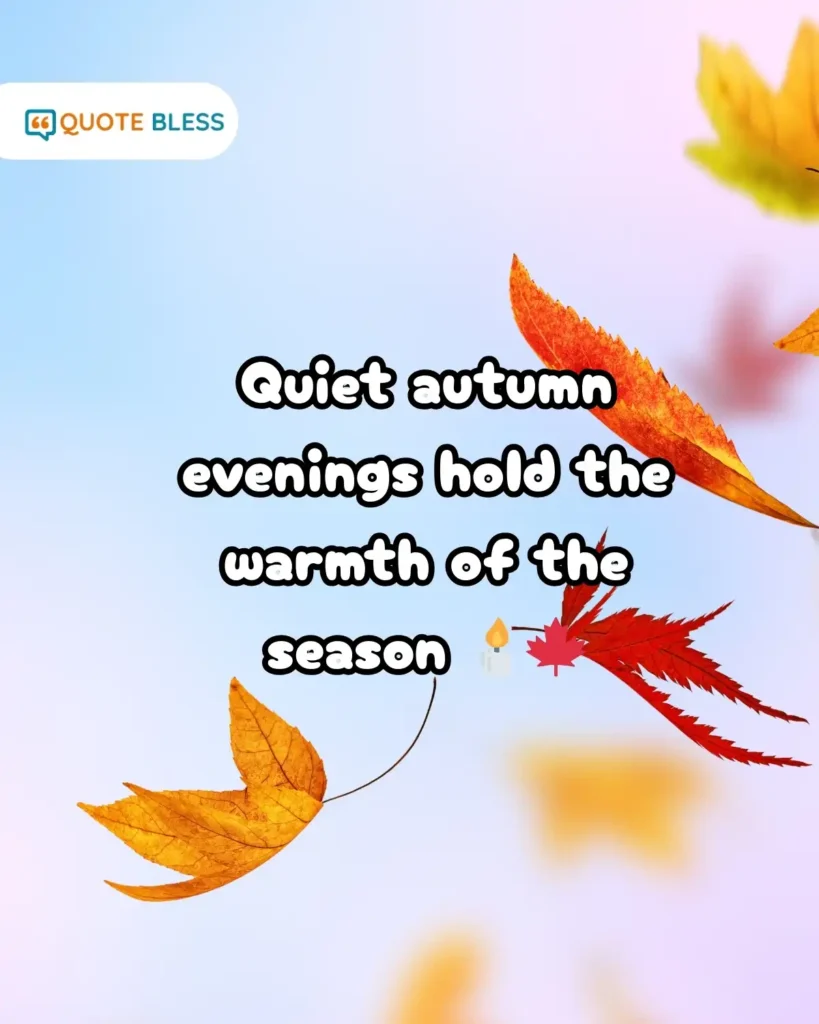 Quiet autumn evenings hold the warmth of the season 🕯️🍁